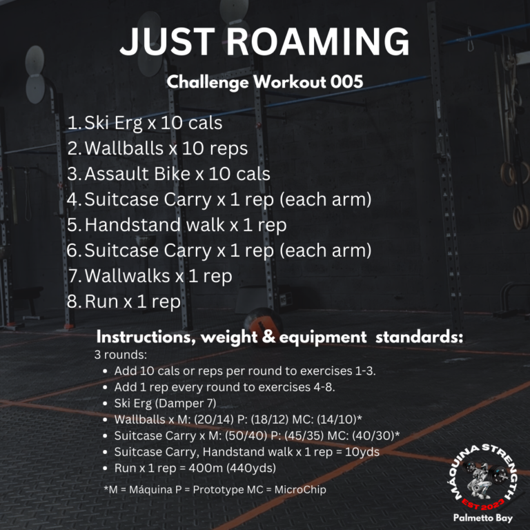 just-roaming-challenge-workout-005